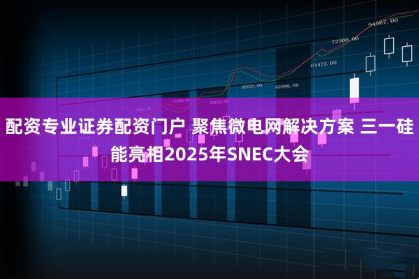配资专业证券配资门户 聚焦微电网解决方案 三一硅能亮相2025年SNEC大会