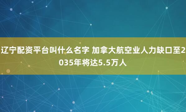辽宁配资平台叫什么名字 加拿大航空业人力缺口至2035年将达5.5万人