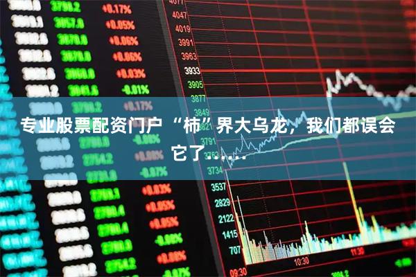 专业股票配资门户 “柿”界大乌龙，我们都误会它了……